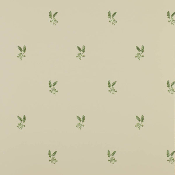 Fernwood Wallpaper  | Colefax and Fowler
