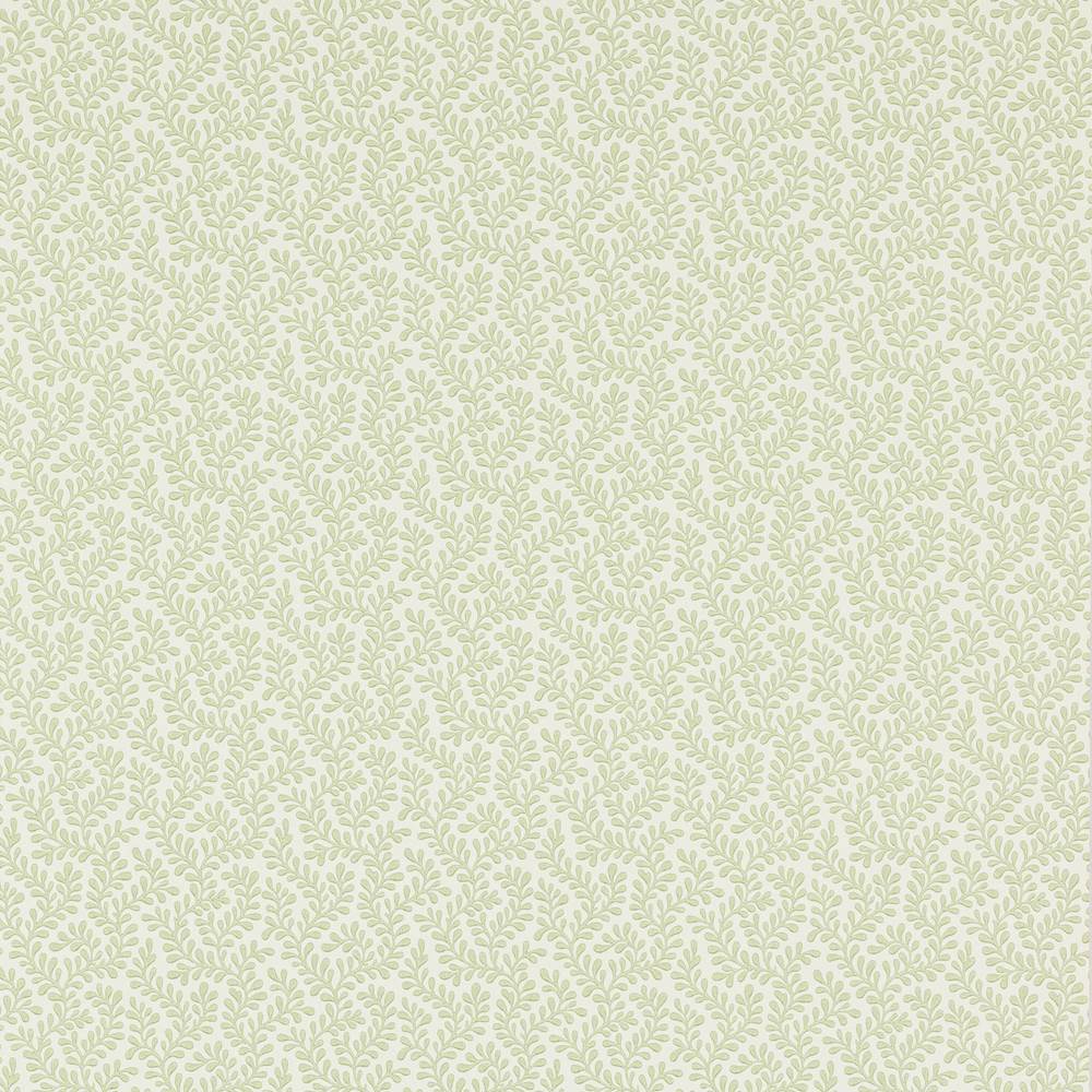 Rushmere Wallpaper  | Colefax and Fowler