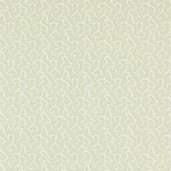 Rushmere Wallpaper  | Colefax and Fowler