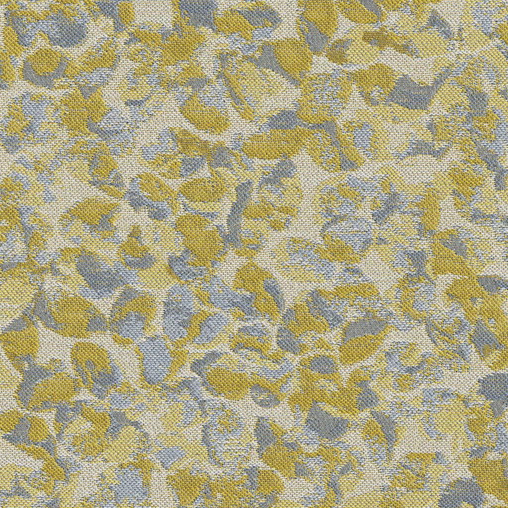 Little Leaf Crypton®, Sunny