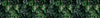 Walls By Patel 3 Green Wallcovering | AS Creation