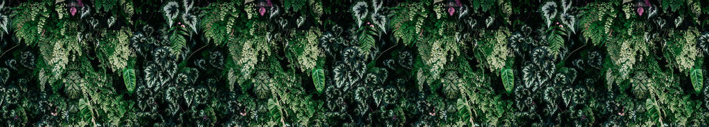 Walls By Patel 3 Green Wallcovering | AS Creation