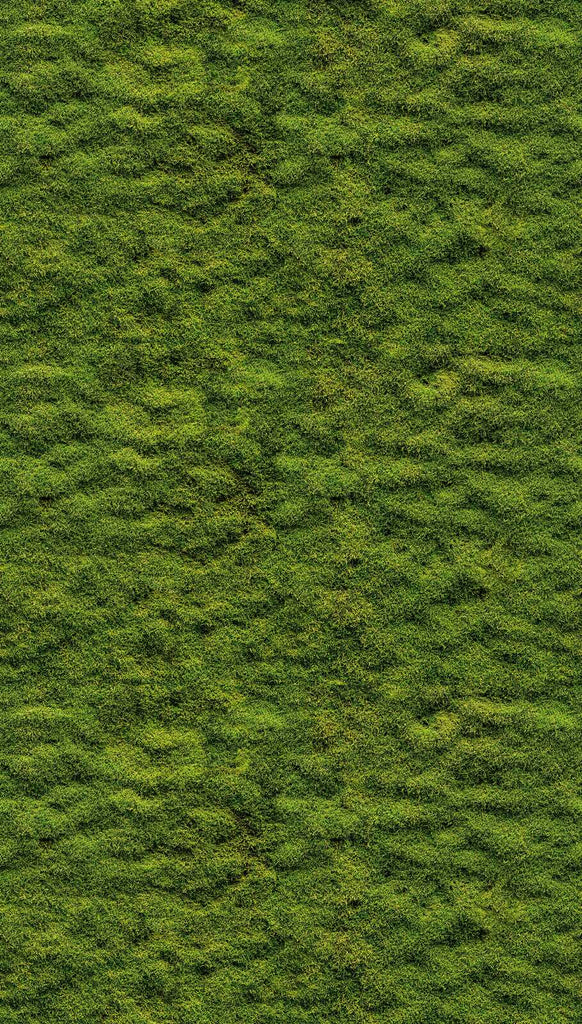 Livingwalls Design Panel the Wall 3 Green Wallcovering | AS Creation