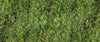 Ap Digital Green Wallcovering | AS Creation
