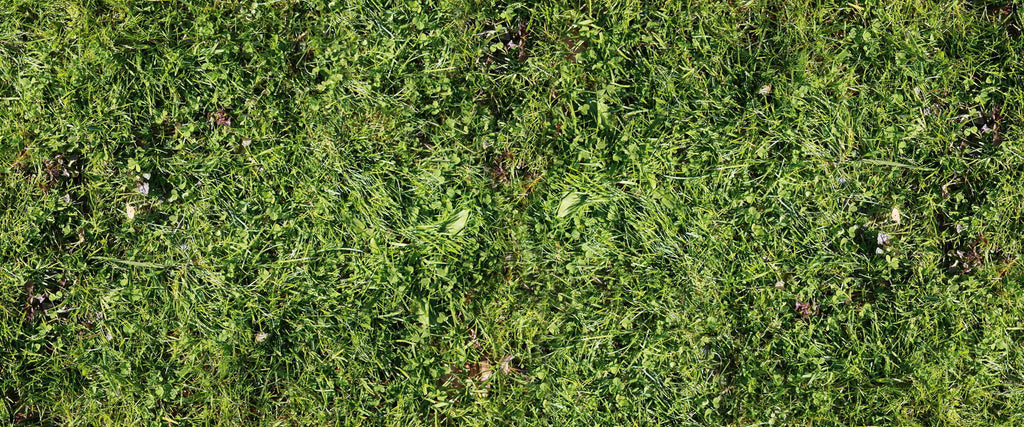 Ap Digital Green Wallcovering | AS Creation