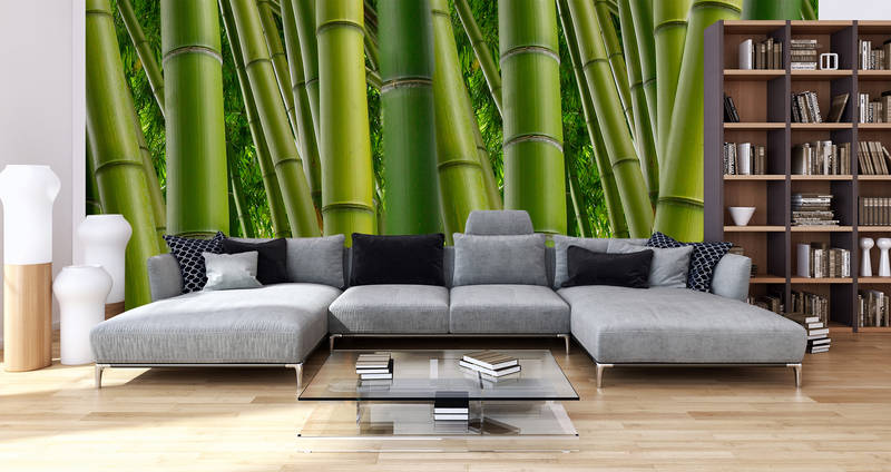 Xxlwallpaper 3 Green Wallcovering | AS Creation