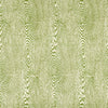 Samples and Purchasing available for Wood - Leaf Green By Brunschwig & Fils | Hommage | Texture Multipurpose Print at Designer Wallcoverings and Fabrics