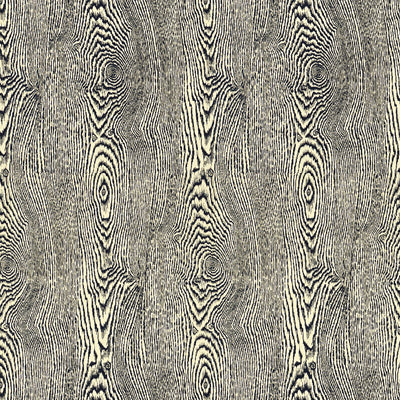 Wood - Indigo Blue By Brunschwig & Fils | Hommage | Texture Multipurpose Print