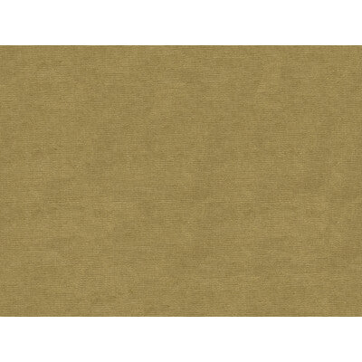 Samples and Purchasing available for Charmant Velvet - Driftwood Grey By Brunschwig & Fils |  |Solid Texture Upholstery Velvet at Designer Wallcoverings and Fabrics