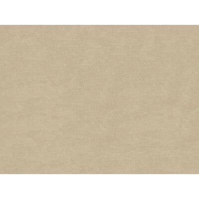 Samples and Purchasing available for Charmant Velvet - Mushroom Grey By Brunschwig & Fils |  |Solid Texture Upholstery Velvet at Designer Wallcoverings and Fabrics
