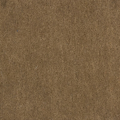 Samples and Purchasing available for Bachelor Mohair - Mushroom Beige By Brunschwig & Fils |  |Solid Texture Upholstery Mohair at Designer Wallcoverings and Fabrics