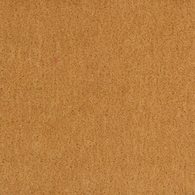 Bachelor Mohair - Wheat Beige By Brunschwig & Fils |  |Solid Texture Upholstery Mohair
