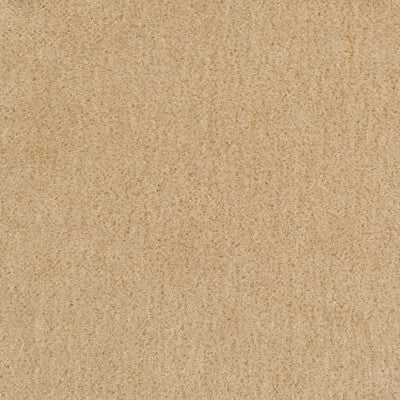 Samples and Purchasing available for Bachelor Mohair - Pumice Beige By Brunschwig & Fils |  |Solid Texture Upholstery Mohair at Designer Wallcoverings and Fabrics