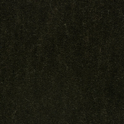Samples and Purchasing available for Bachelor Mohair - Thyme Green By Brunschwig & Fils |  |Solid Texture Upholstery Mohair at Designer Wallcoverings and Fabrics