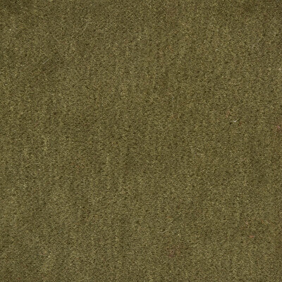 Samples and Purchasing available for Bachelor Mohair - Sage Green By Brunschwig & Fils |  |Solid Texture Upholstery Mohair at Designer Wallcoverings and Fabrics