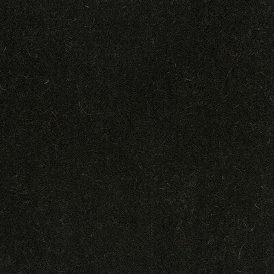 Samples and Purchasing available for Bachelor Mohair - Tobacco Black By Brunschwig & Fils |  |Solid Texture Upholstery Mohair at Designer Wallcoverings and Fabrics