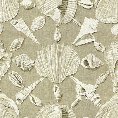 Via Costeira - Driftwood Grey By Brunschwig & Fils | Les Tropiques | Novelty Multipurpose Print