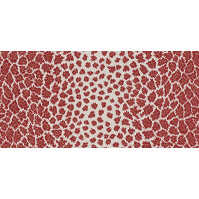 English Leopard - Scarlet Red By Brunschwig & Fils | Cape Comorin | Animal Skins Multipurpose Print