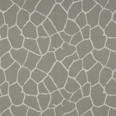 Samples and Purchasing available for Kaliveli Woven - Pumice Grey By Brunschwig & Fils | Cape Comorin | Animal Skins Upholstery Weave at Designer Wallcoverings and Fabrics