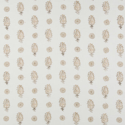 Onam Paisley - Spa/Beige Multi By Brunschwig & Fils |  | Paisley Multipurpose Print