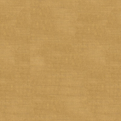 Samples and Purchasing available for Lazare Velvet - Cream Beige By Brunschwig & Fils |  |Solid Texture Upholstery Velvet at Designer Wallcoverings and Fabrics