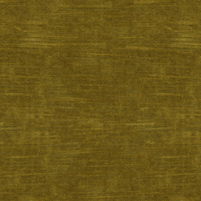 Samples and Purchasing available for Lazare Velvet - Antique Gold Sage By Brunschwig & Fils |  |Solid Texture Upholstery Velvet at Designer Wallcoverings and Fabrics