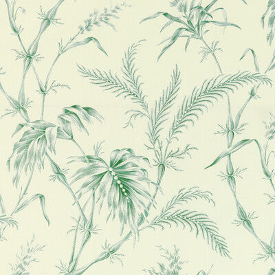 Samples and Purchasing available for Lauziere Print - Green Green By Brunschwig & Fils | Louverne | Botanical & Floral Multipurpose Print at Designer Wallcoverings and Fabrics