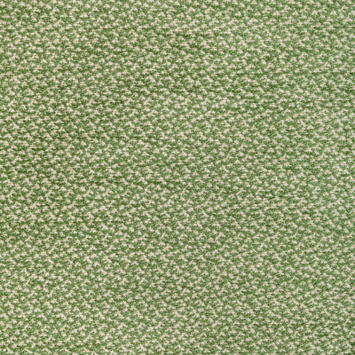 Samples and Purchasing available for Sasson Texture - Green Ivory By Brunschwig & Fils | Chambery Textures Iii |Solid Texture Upholstery Chenille at Designer Wallcoverings and Fabrics