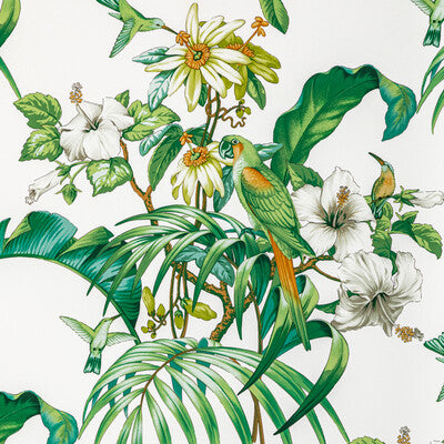 Samples and Purchasing available for Anima Print - Leaf Ivory By Brunschwig & Fils | Majorelle |Flora & Fauna Tropical Multipurpose Print at Designer Wallcoverings and Fabrics