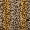 Samples and Purchasing available for Le Felin Velvet - Cognac Gold By Brunschwig & Fils | Majorelle | Animal Skins Upholstery Velvet at Designer Wallcoverings and Fabrics