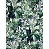 Samples and Purchasing available for Feuillage Ii - Blanc Green By Brunschwig & Fils | Madeleine Castaing Indoor/Outdoor |Botanical & Floral  Multipurpose Indoor / Outdoor at Designer Wallcoverings and Fabrics