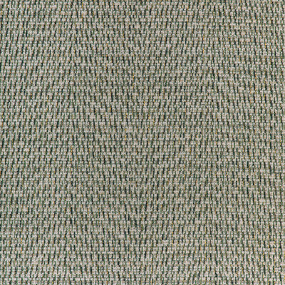 Samples and Purchasing available for Diderot Texture - Green Green By Brunschwig & Fils | Arles Weaves |  Upholstery Texture at Designer Wallcoverings and Fabrics