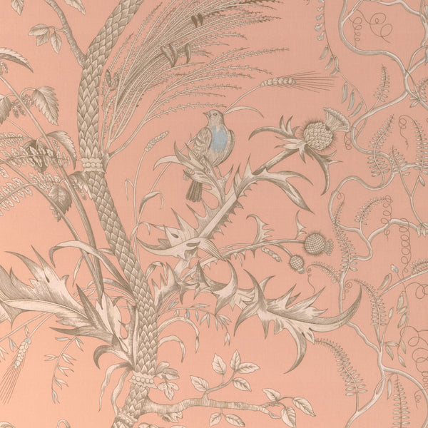 Bird And Thistle Ii - Peach Orange By Brunschwig & Fils | La Menagerie |Botanical & Floral Tropical Drapery Print