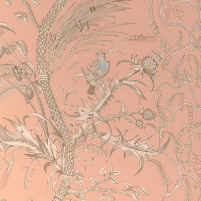 Bird And Thistle Ii - Peach Orange By Brunschwig & Fils | La Menagerie |Botanical & Floral Tropical Drapery Print