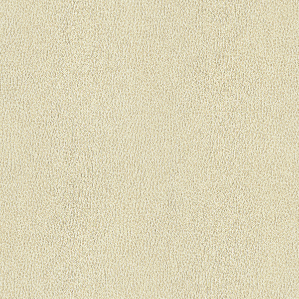 Ethos, Parchment Wallcoverings | Designtex