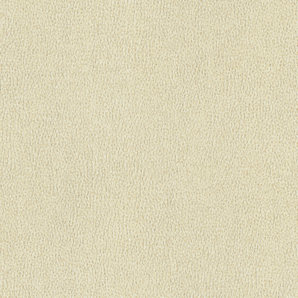 Ethos, Parchment