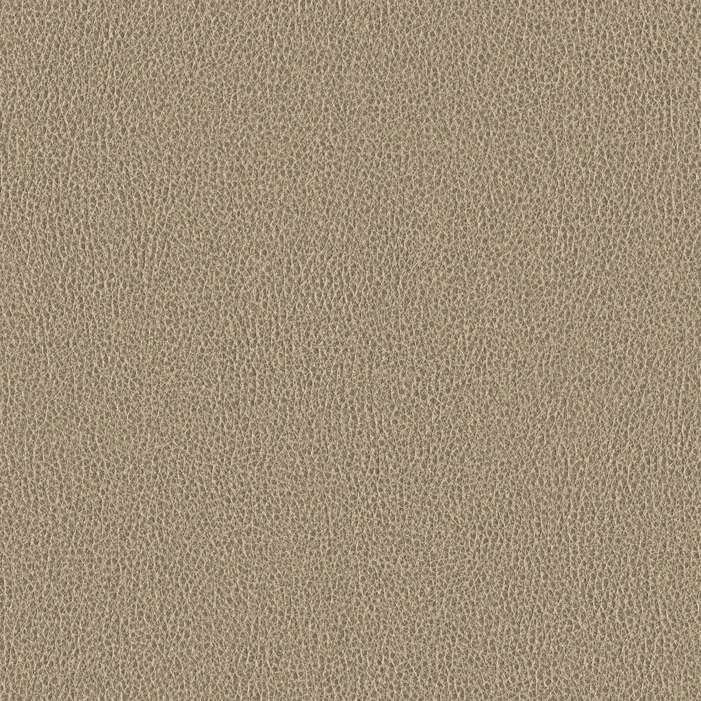 Ethos, Stone