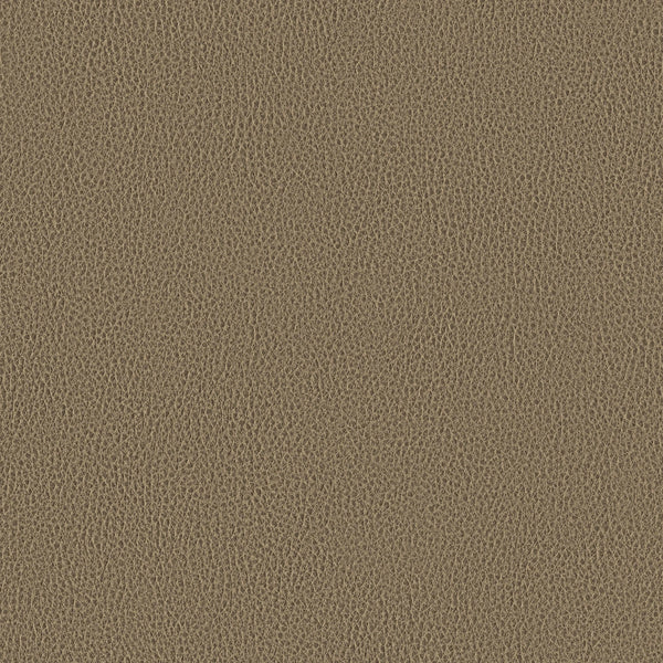 Ethos, Hazelwood Wallcoverings | Designtex