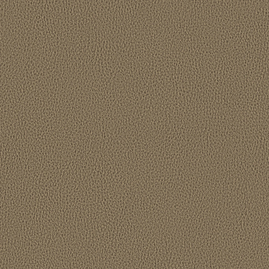 Ethos, Hazelwood