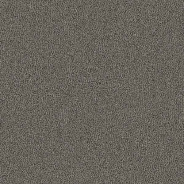 Ethos, Graphite Wallcoverings | Designtex