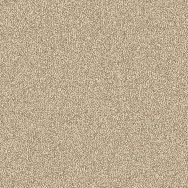 Ethos, Beige Wallcoverings | Designtex
