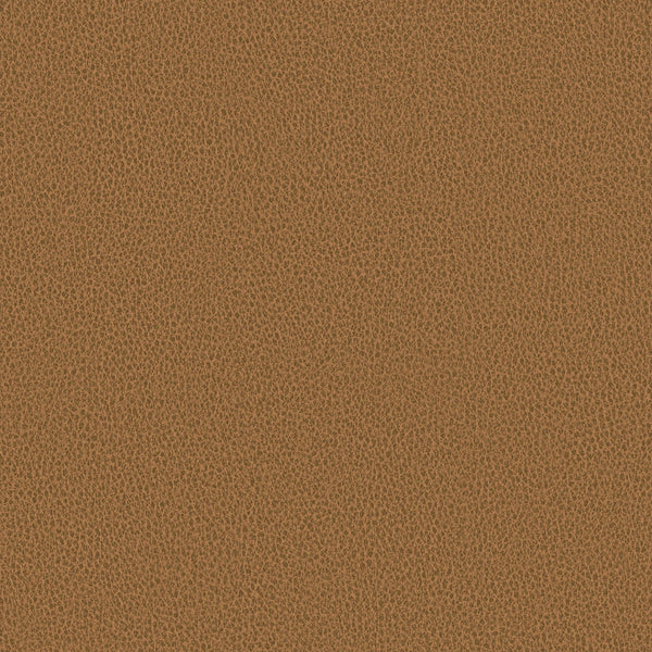 Ethos, Umber Wallcoverings | Designtex