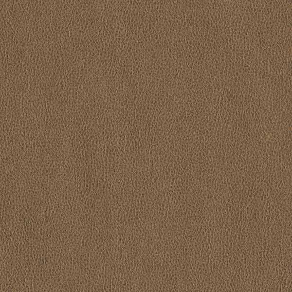 Ethos, Sepia Wallcoverings | Designtex