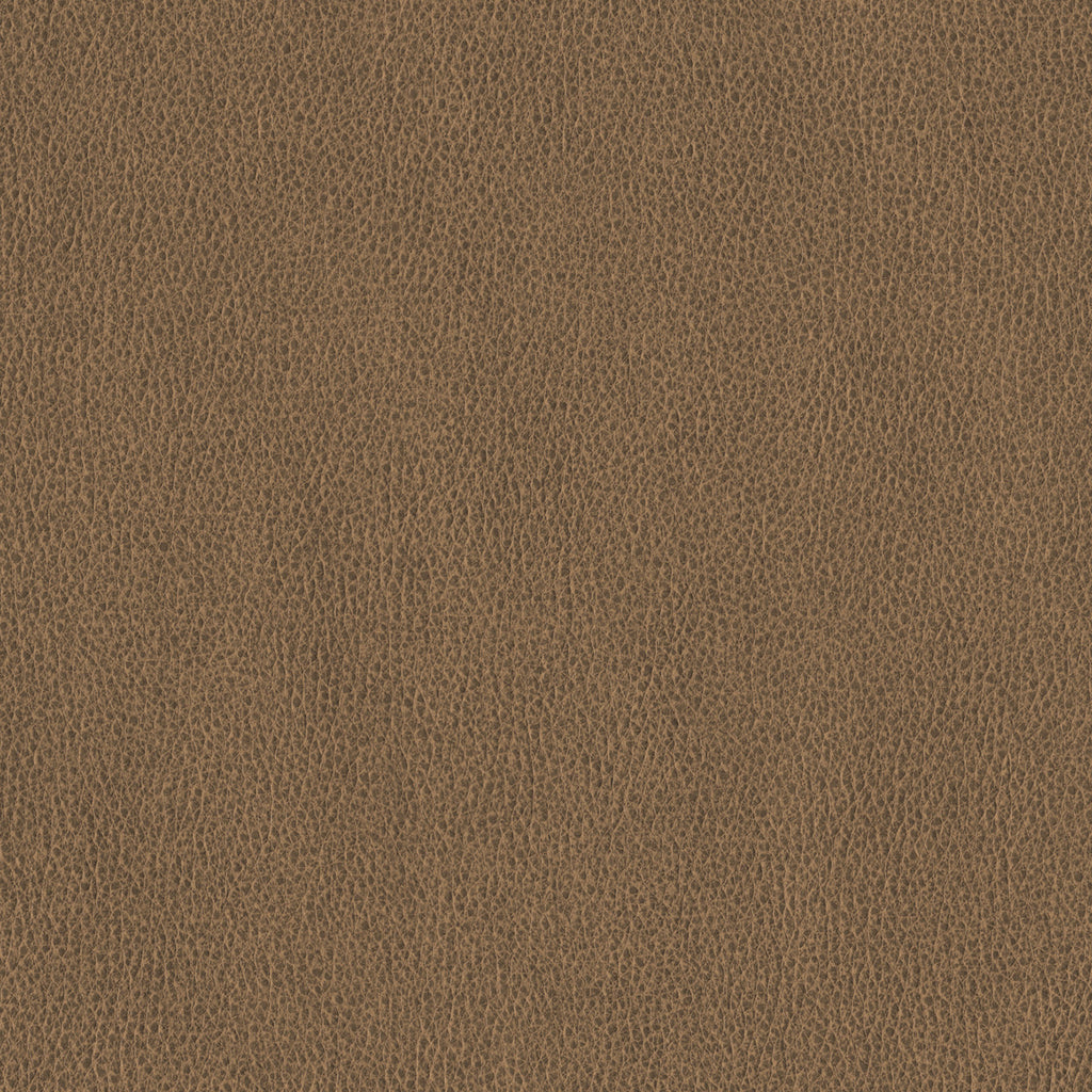 Ethos, Sepia