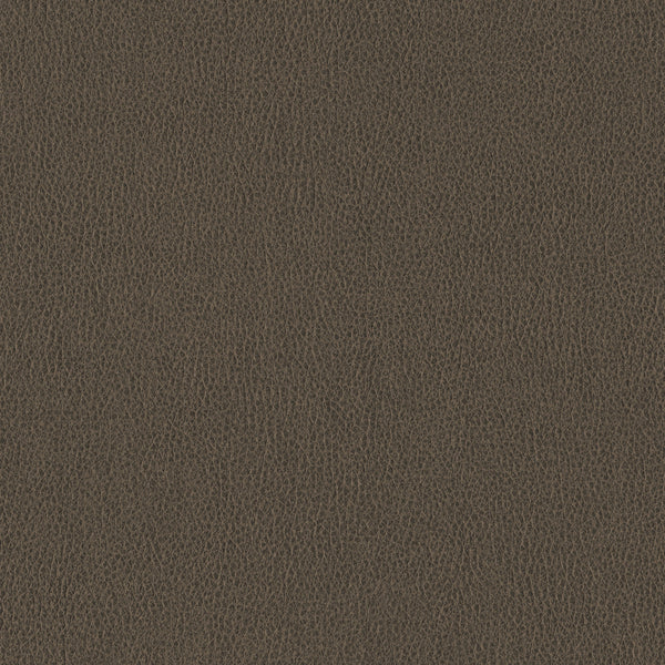 Ethos, Timber Wallcoverings | Designtex