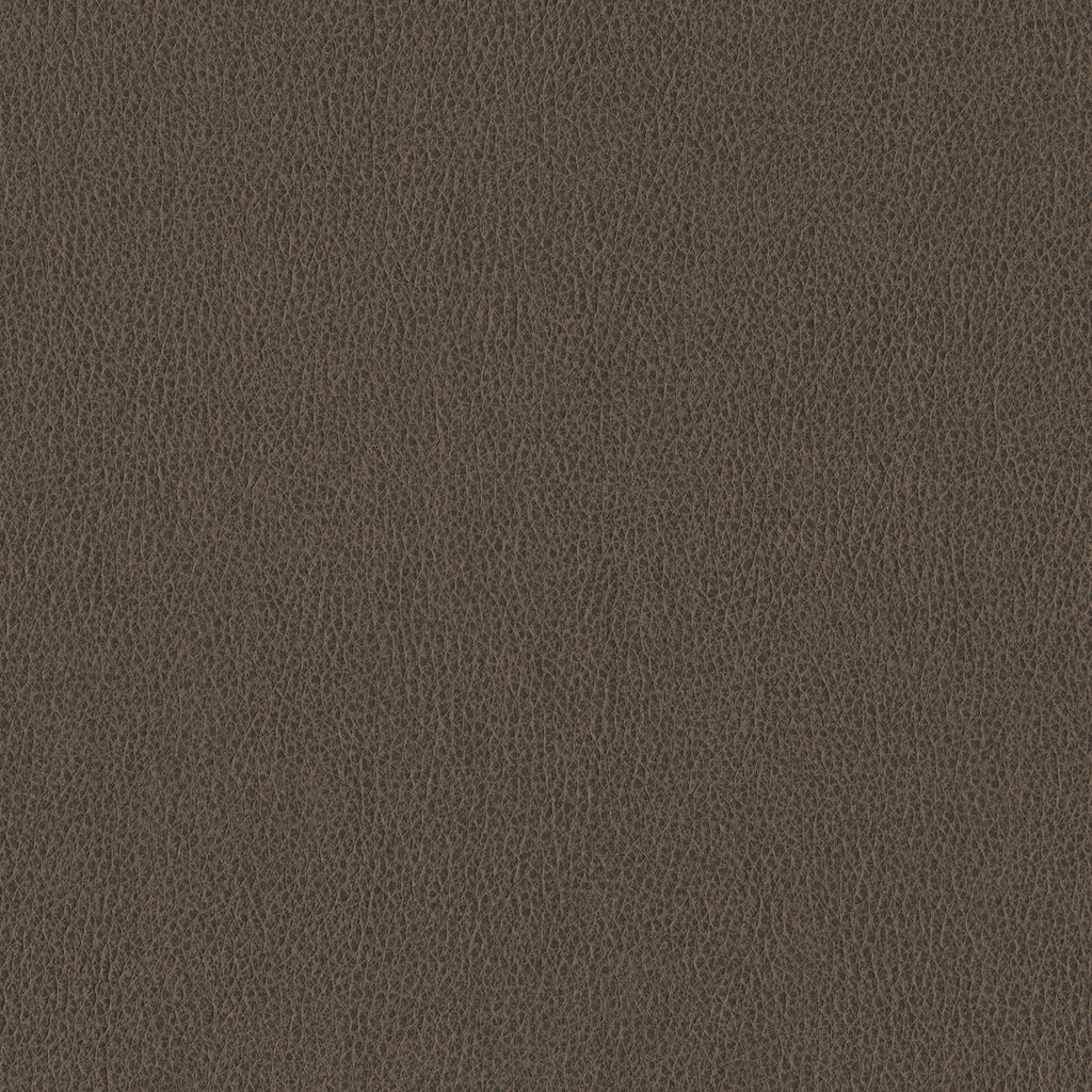 Ethos, Timber