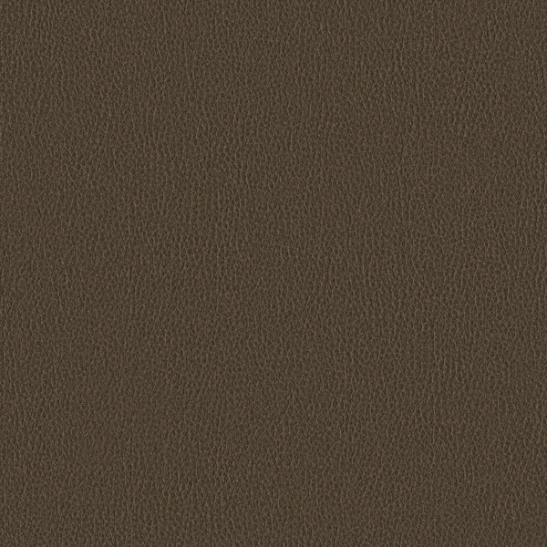 Ethos, Northwood Wallcoverings | Designtex
