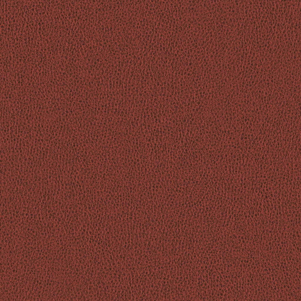 Ethos, Venetian