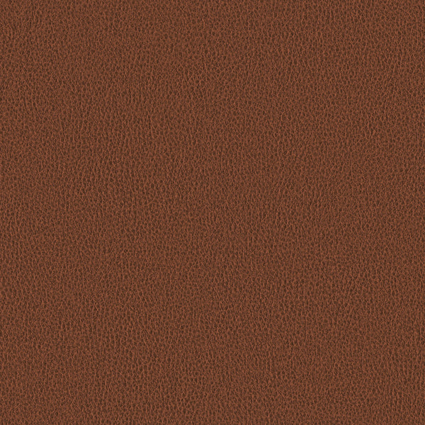 Ethos, Brown Wallcoverings | Designtex