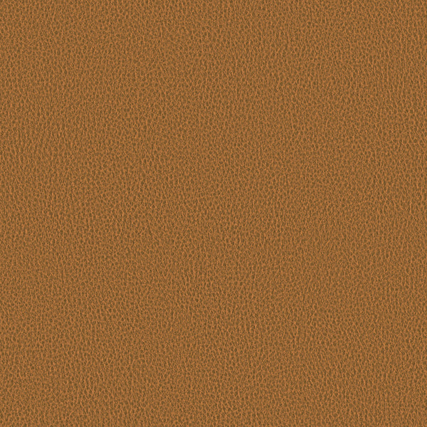 Ethos, Camel Wallcoverings | Designtex